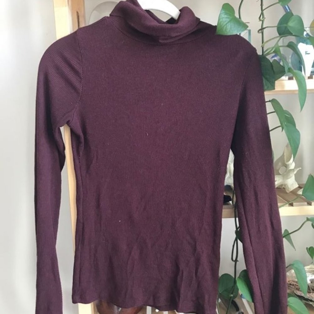 Fitted ribbed turtleneck